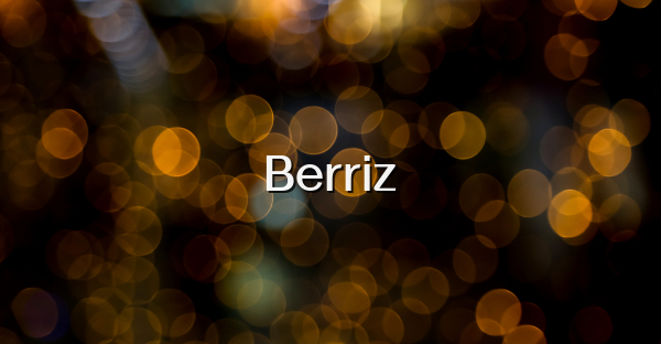 Berriz