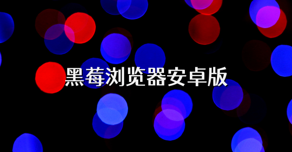 黑莓浏览器安卓版