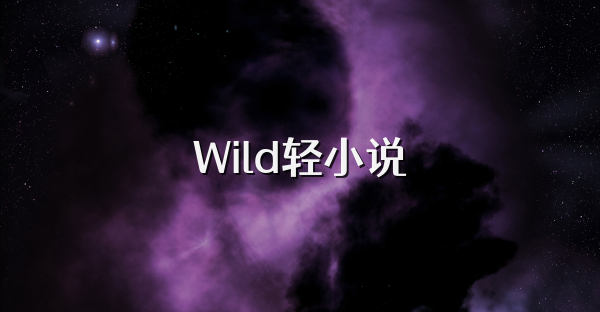 Wild轻小说