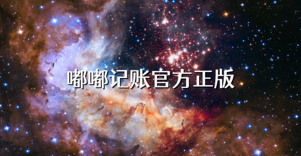 嘟嘟记账官方正版