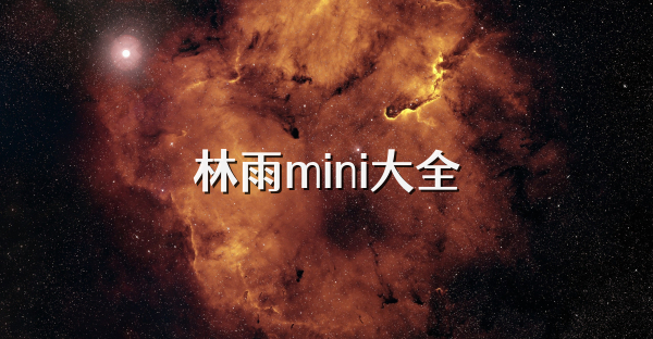 林雨mini大全