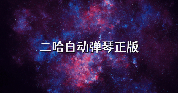 二哈自动弹琴正版