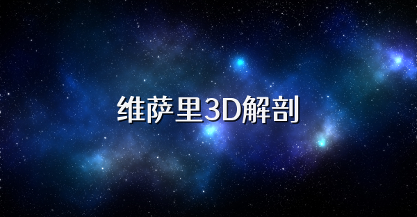维萨里3D解剖