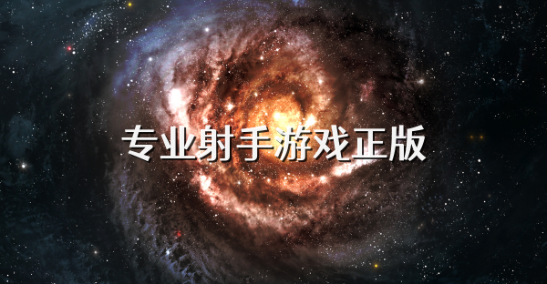 专业射手游戏正版