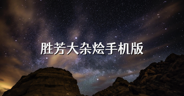 胜芳大杂烩手机版