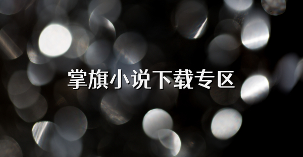 掌旗小说下载专区