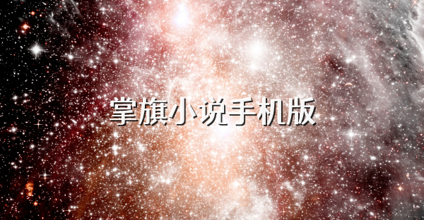 掌旗小说手机版