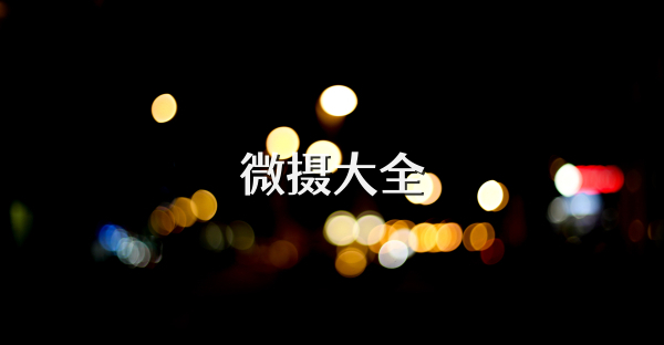微摄大全