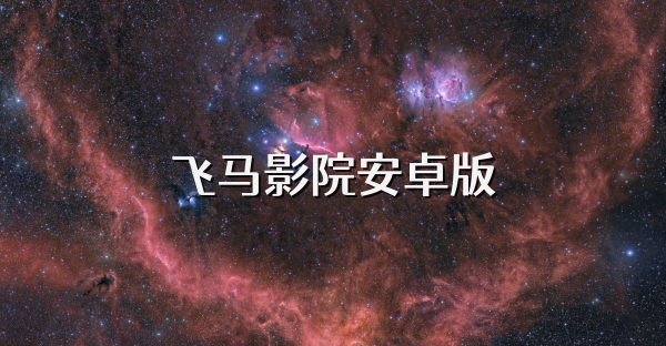 飞马影院安卓版