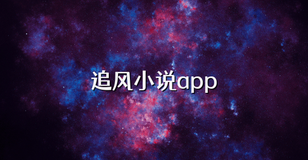 追风小说app