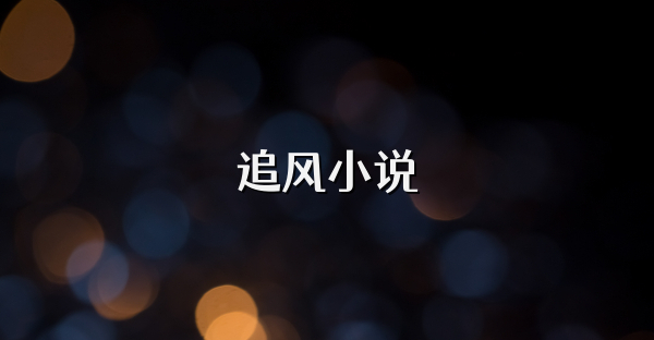 追风小说
