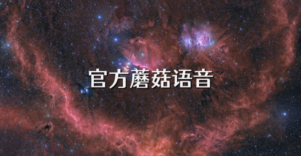 官方蘑菇语音