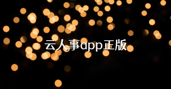 云人事app正版