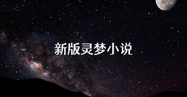 新版灵梦小说