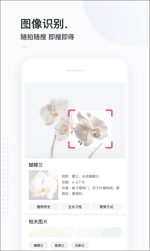 簡(jiǎn)單搜索網(wǎng)頁(yè)版 截圖2