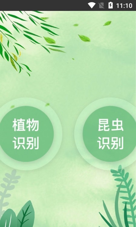一叶识木 截图1