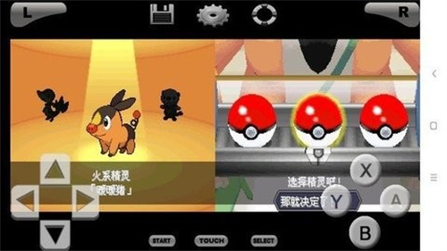 口袋妖怪黑2中文版 截圖3