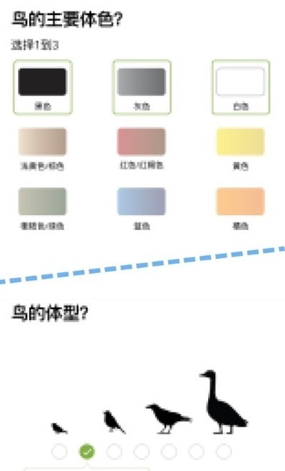 Merlin鳥種鑒定 截圖3