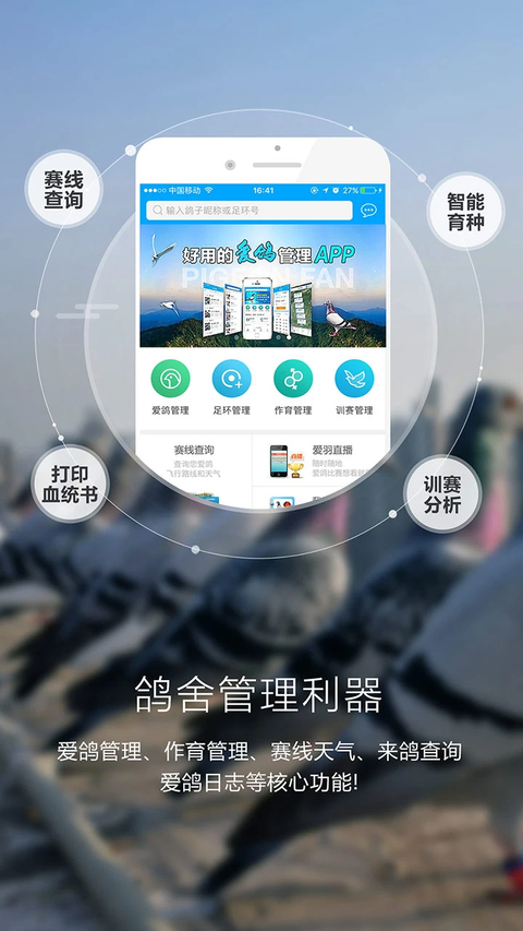 爱鸽者官方版 截图1