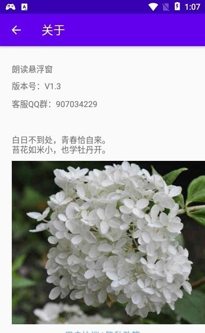 朗读悬浮窗 截图1