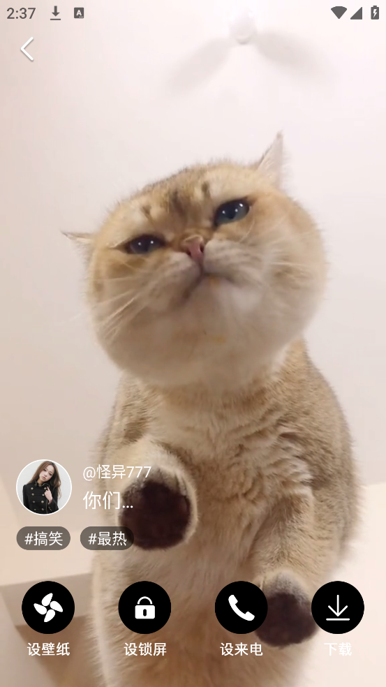 布丁壁纸大全 截图3
