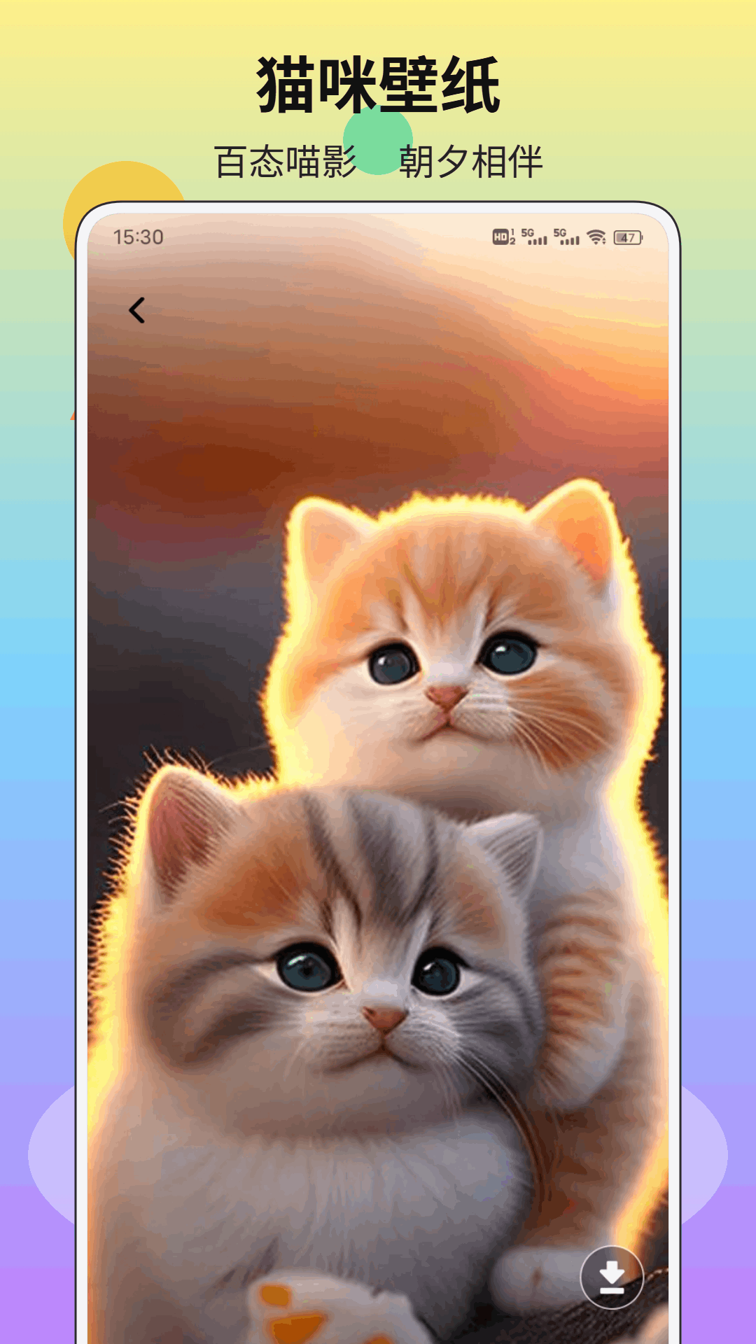 猫猫日记 截图2