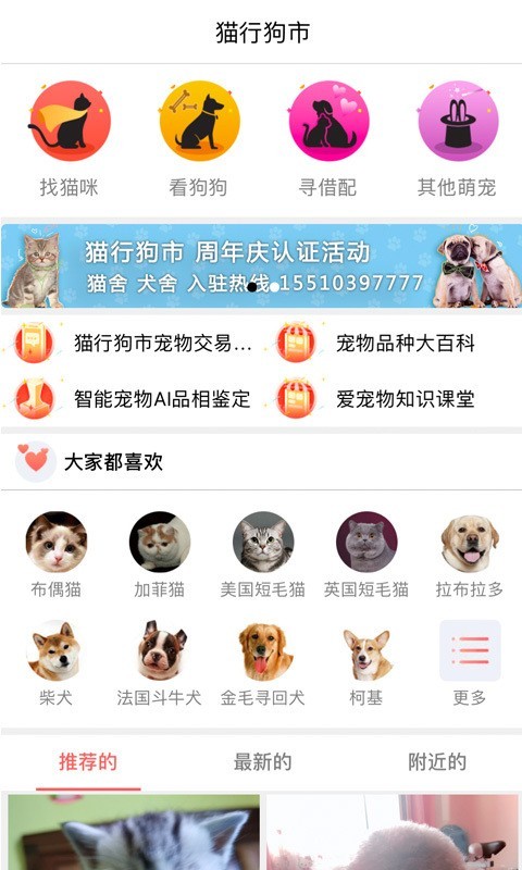 貓行狗市 截圖2