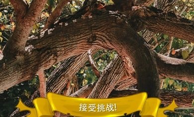 寻找猫：隐藏对象3 截图3