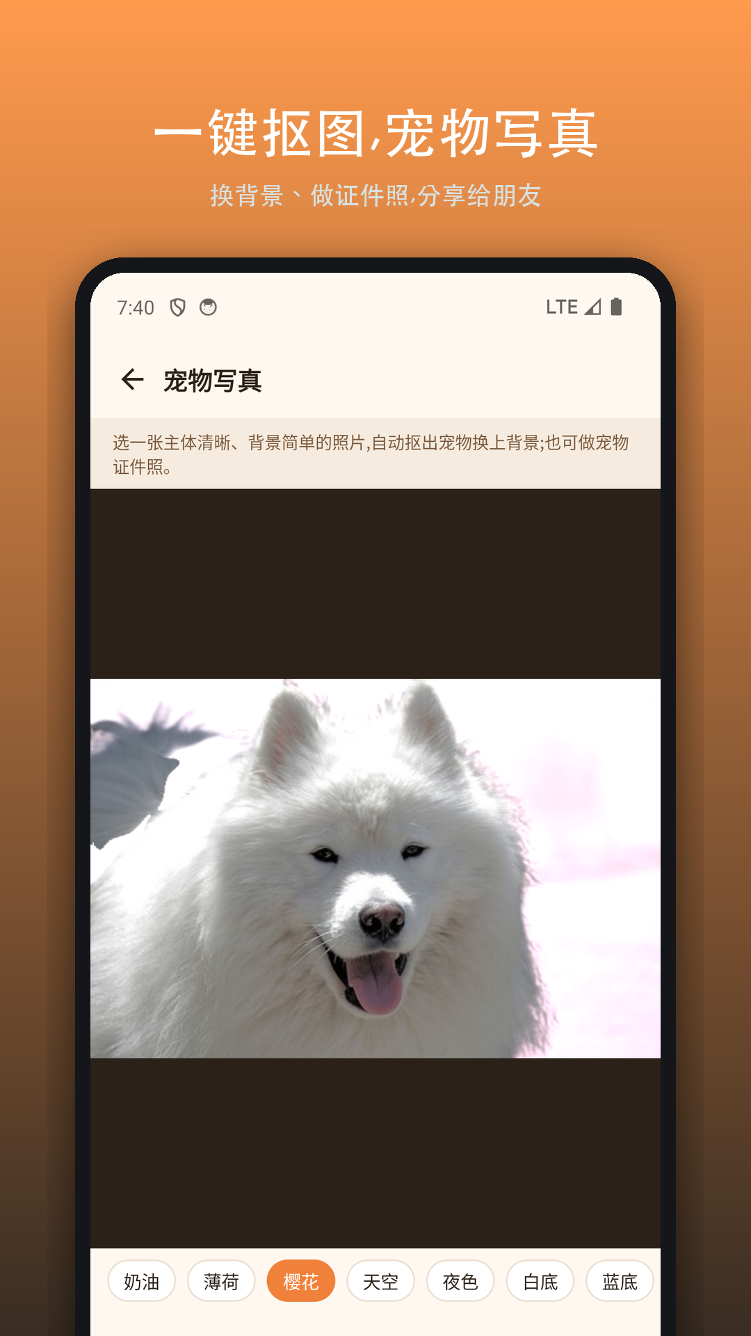 喵汪宠语 截图2