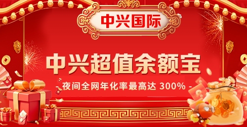 中興國際 截圖2