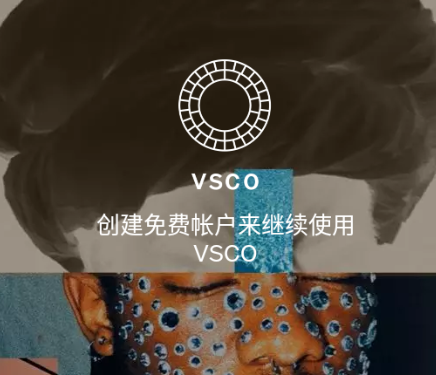 VSCO正版 1