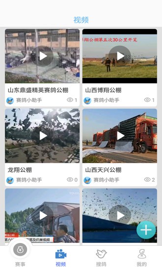 賽鴿助手軟件 截圖3