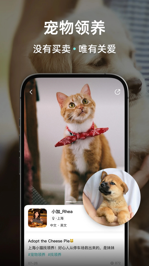 Wellcee租房app 截图3