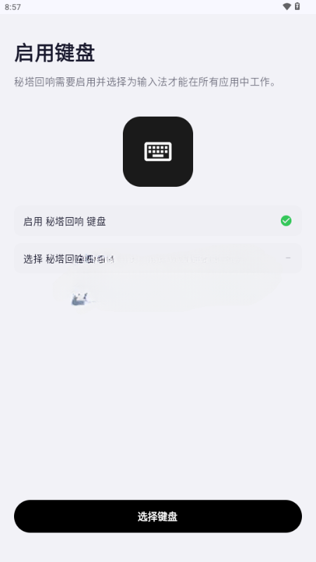 秘塔回响输入法 截图1