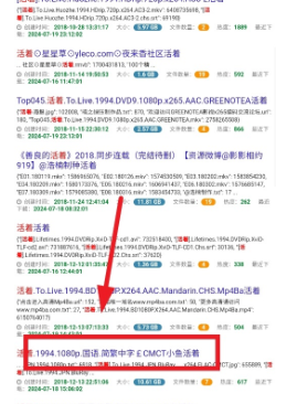 雨花閣搜索引擎 截圖2