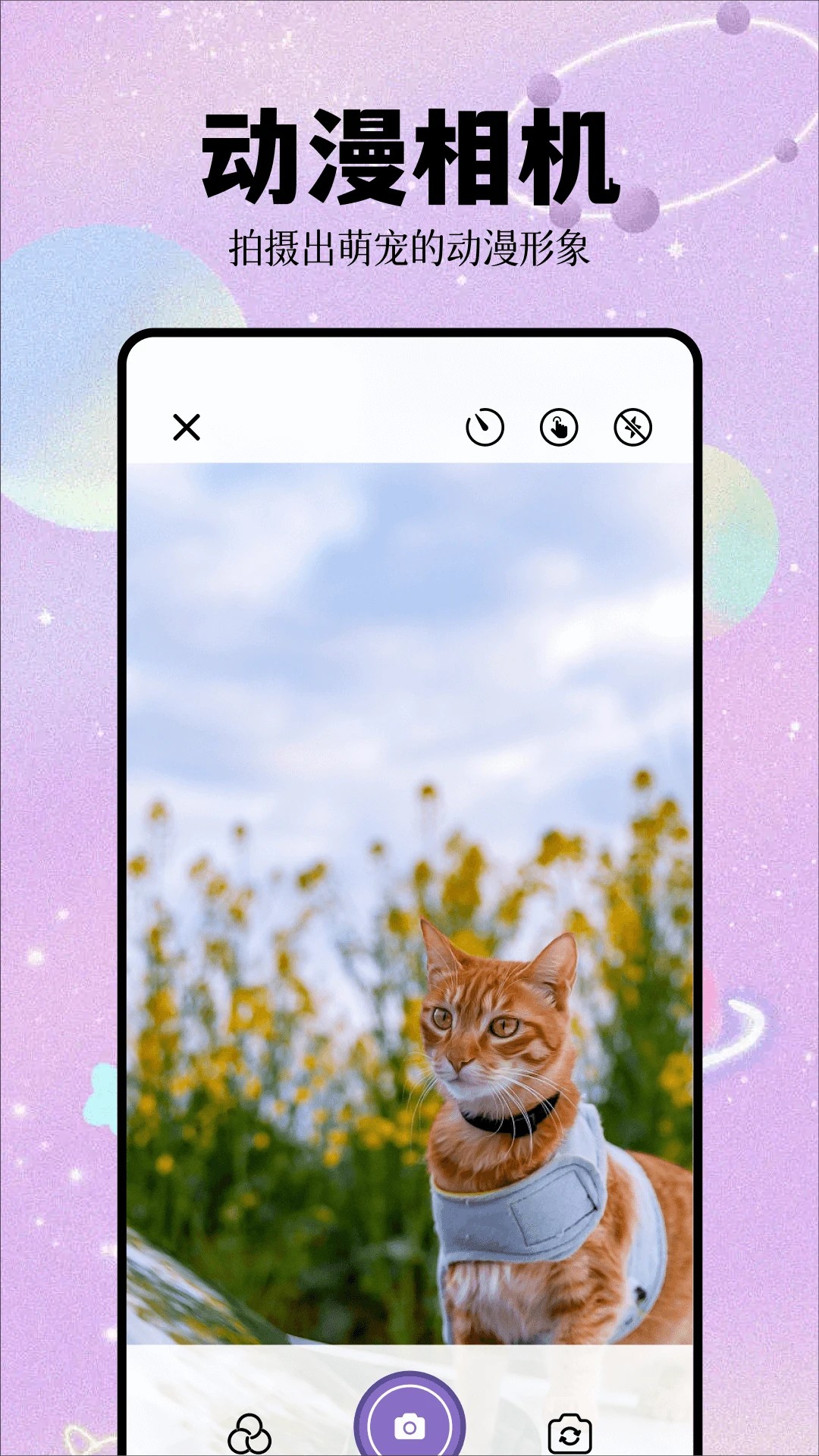 次元城动漫纯净版最新版 截图3