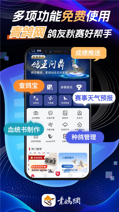青鸽网App 截图1