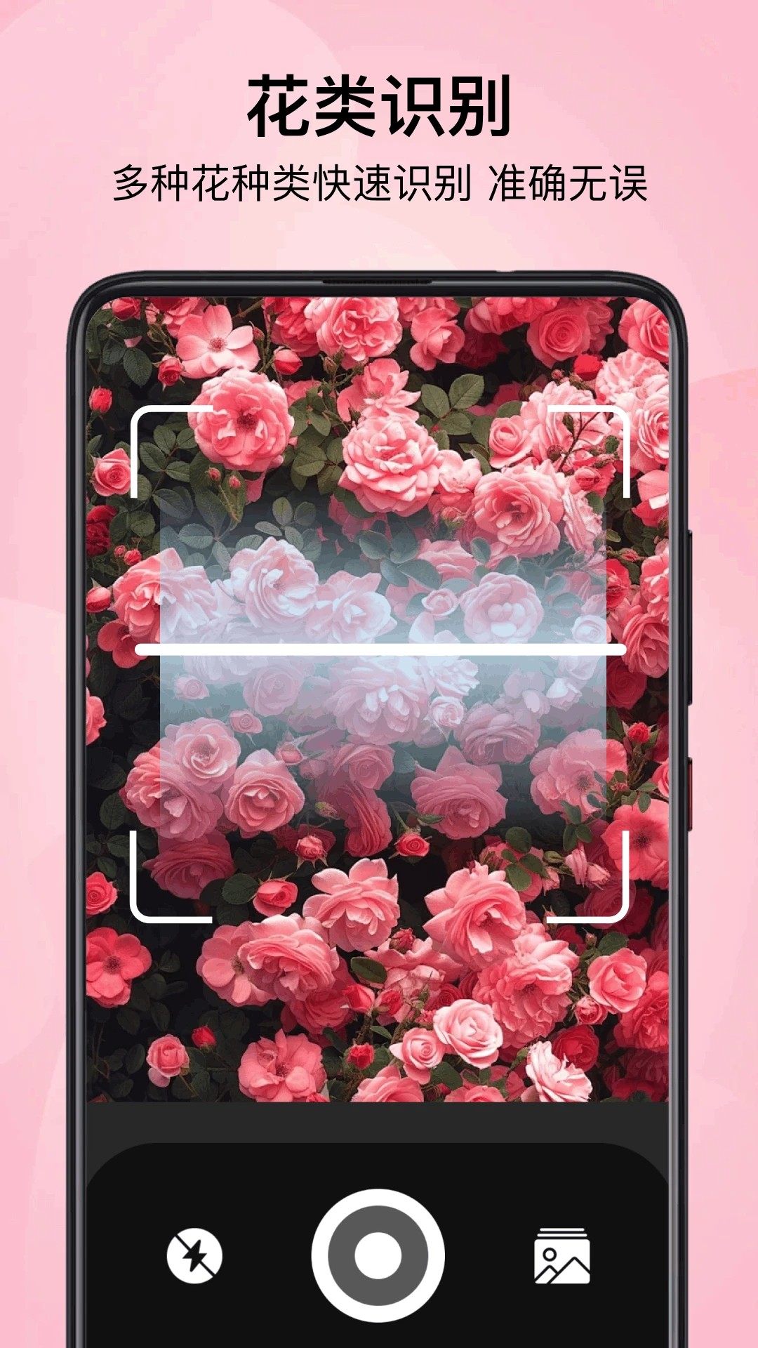 小园丁追剧免费下载 截图1