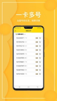 西瓜虛擬網(wǎng)絡(luò)電話(huà) 截圖2