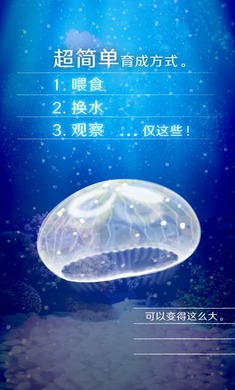 養育水母的治愈游戲 截圖1