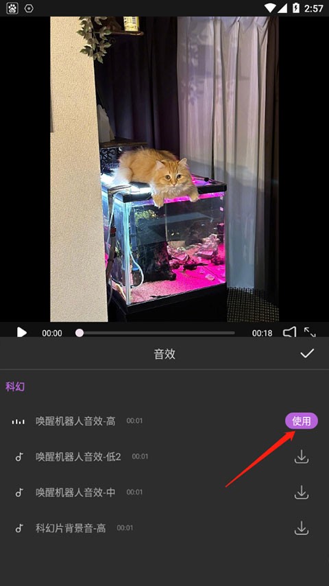 爱剪极 截图3