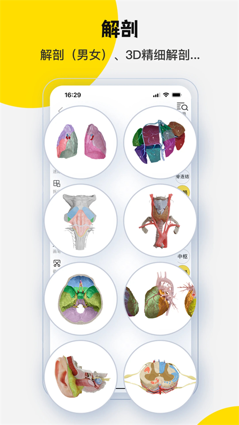 3dbody解剖 截图3