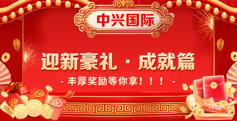 中興國際 截圖1