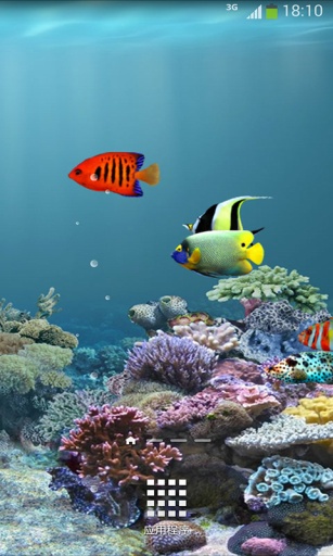 水族馆动态壁纸 截图4