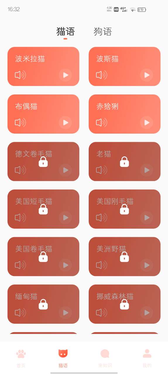 PeppyCat貓咪 1