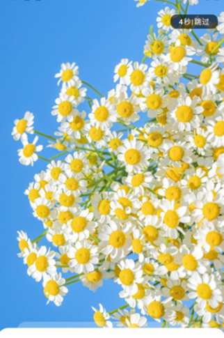 冷心口袋app官方 截圖8