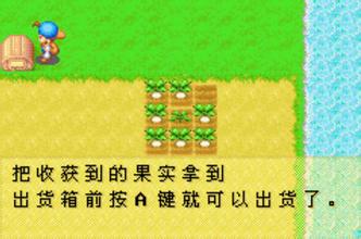 牧場物語礦石鎮的伙伴們完美漢化版 截圖5