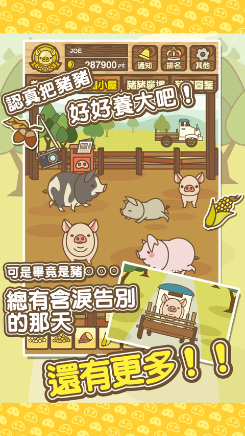 养猪场mix最新版 截图2