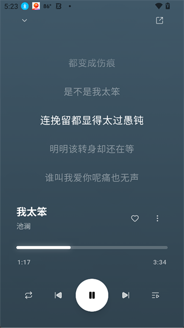 水獭音乐 截图5