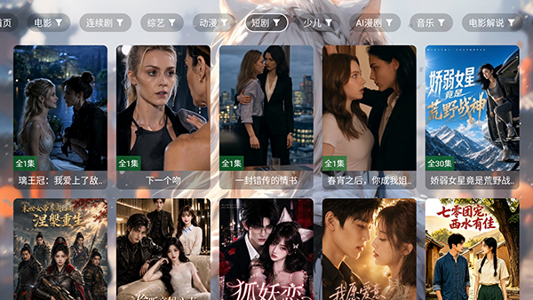 凯少影视大全TV版 截图4